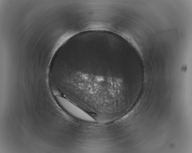 X0000095511277200801111405