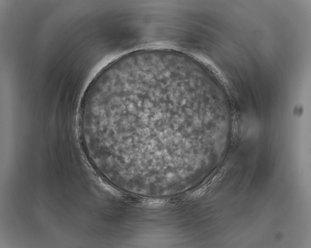X0000095511278200801111405