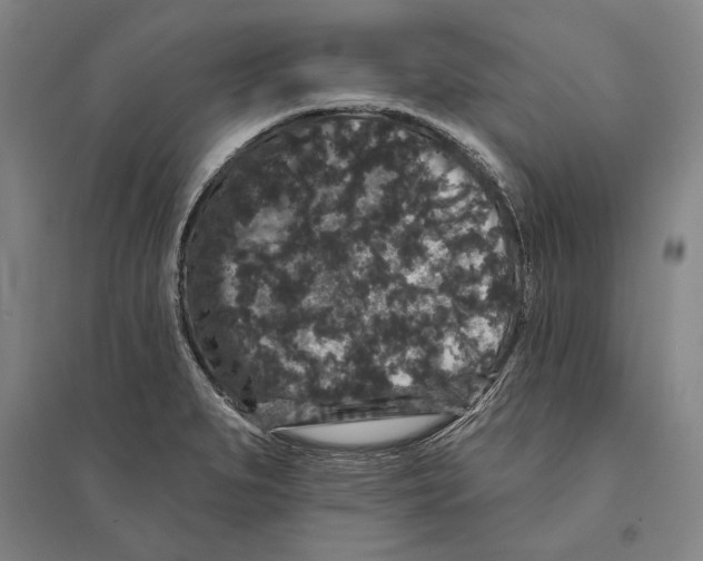 X0000095511279200801111405