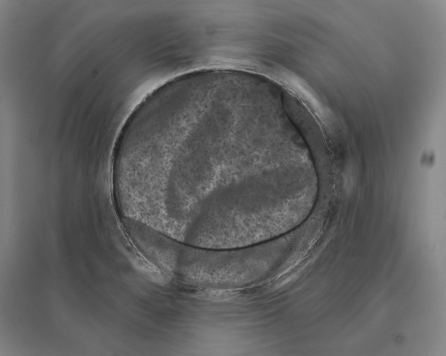X0000095511280200801111405