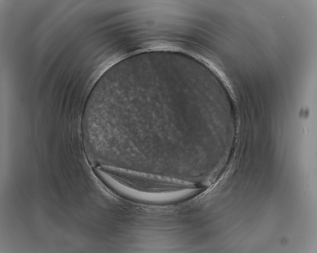 X0000095511281200801111405