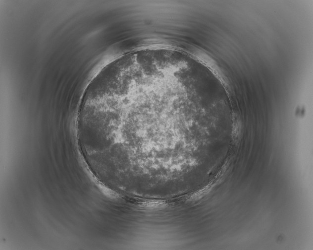 X0000095511282200801111405