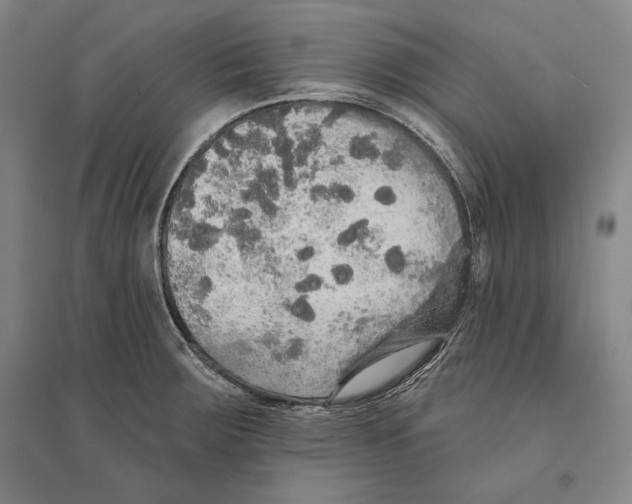 X0000095511283200801111405