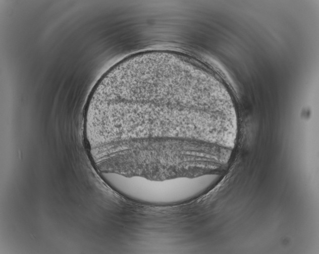 X0000095511284200801111405