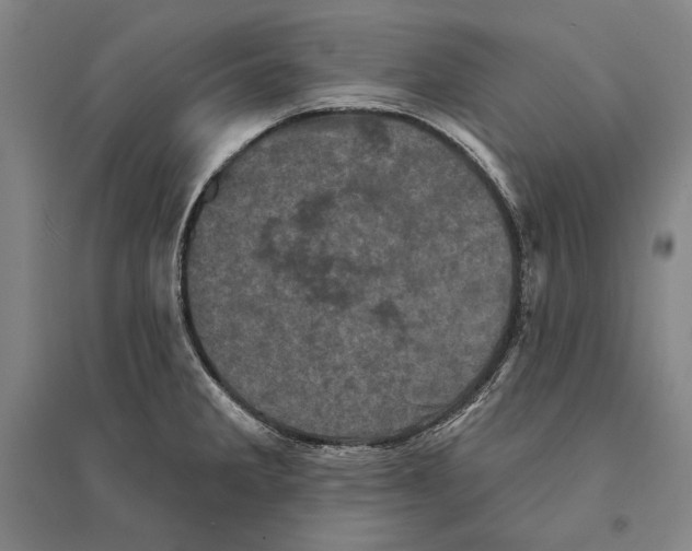 X0000095511285200801111405