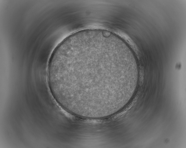 X0000095511286200801111405