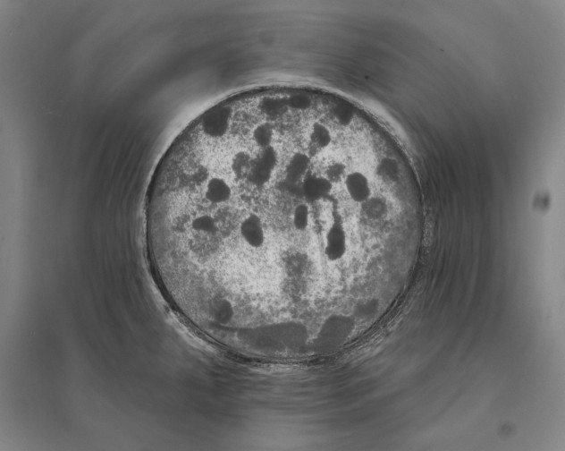 X0000095511287200801111405