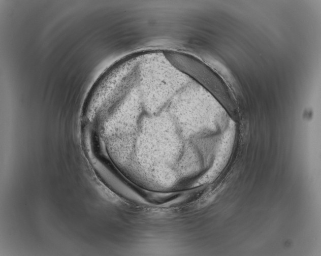 X0000095511288200801111405