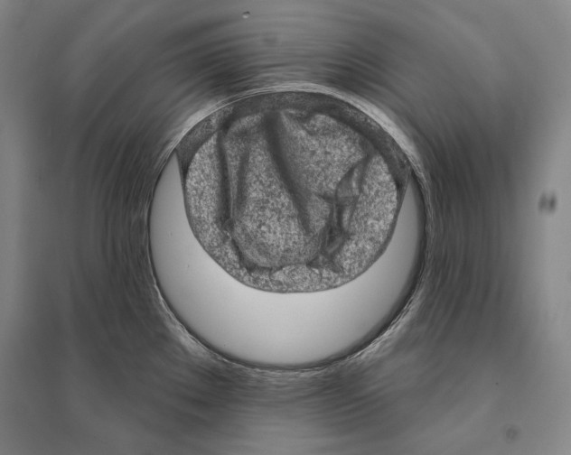 X0000095511289200801111405