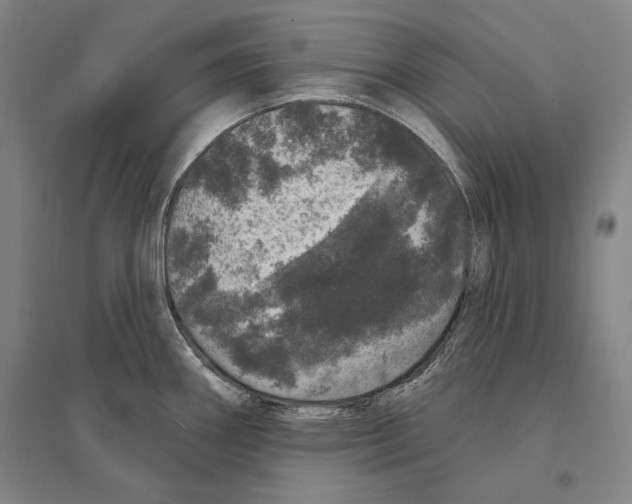 X0000095511290200801111405