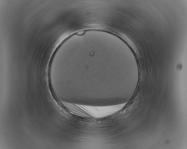 X0000095511291200801111405