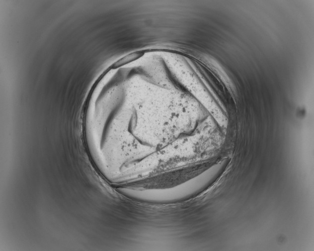 X0000095511292200801111405