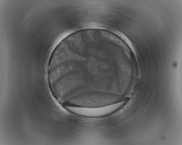 X0000095511293200801111405
