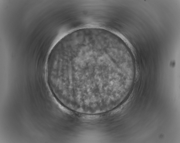 X0000095511294200801111405