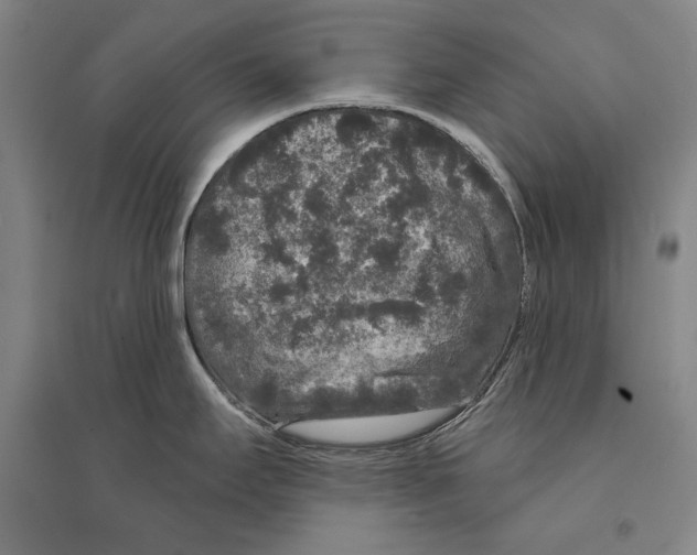 X0000095511295200801111405
