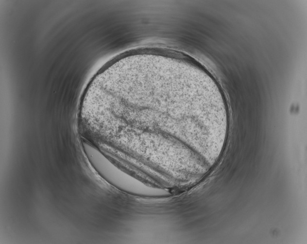 X0000095511296200801111405