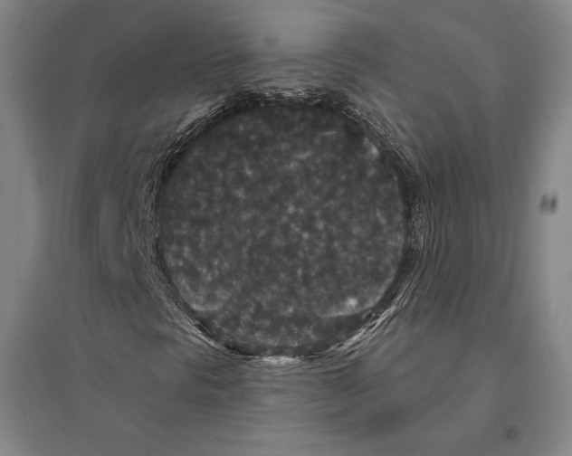 X0000095511297200801111404