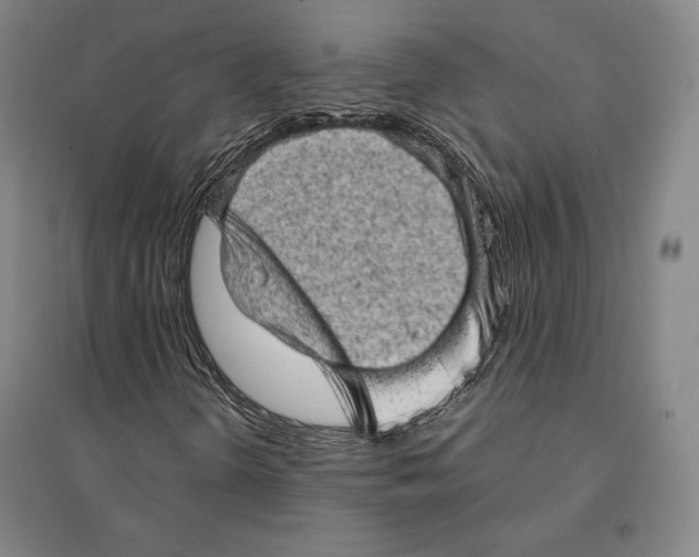 X0000095511298200801111404