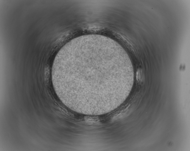 X0000095511299200801111404