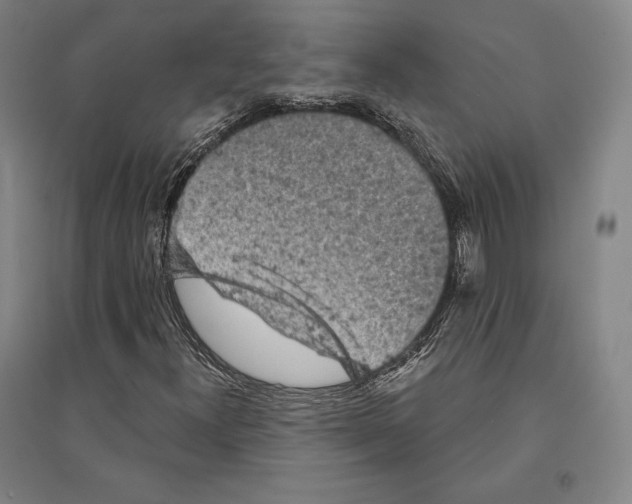 X0000095511300200801111404