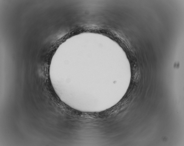 X0000095511301200801111404