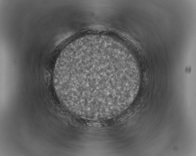 X0000095511302200801111404