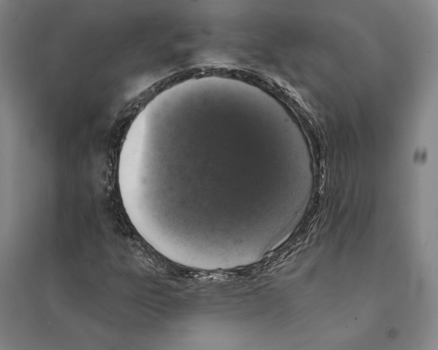 X0000095511303200801111404
