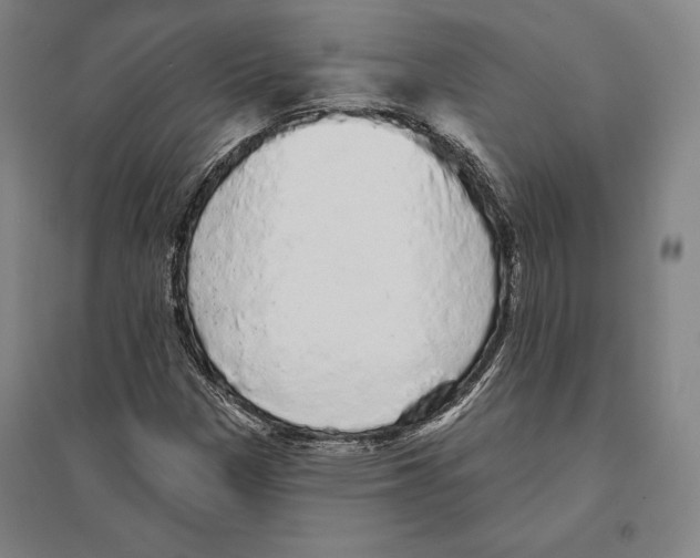 X0000095511305200801111404