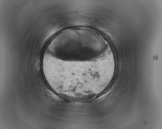 X0000095511306200801111404