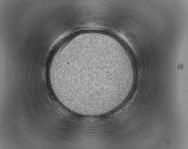 X0000095511307200801111404