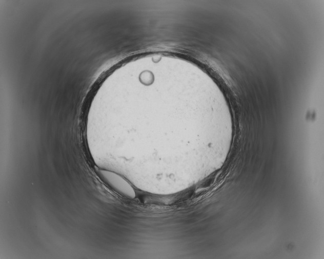 X0000095511308200801111404