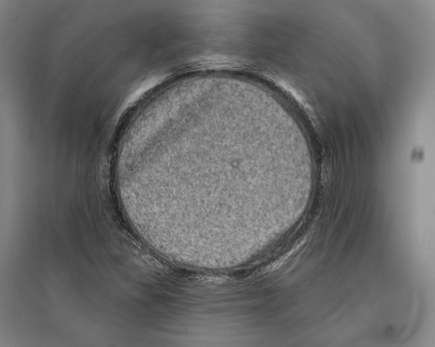 X0000095511309200801111404