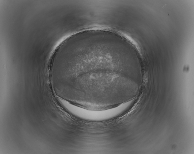 X0000095511310200801111404