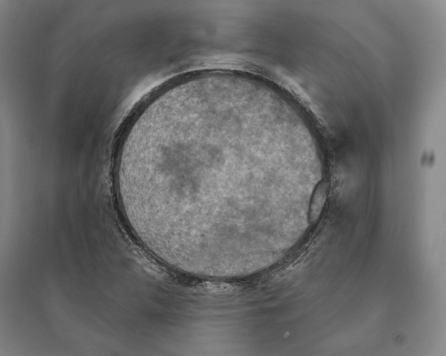 X0000095511312200801111404