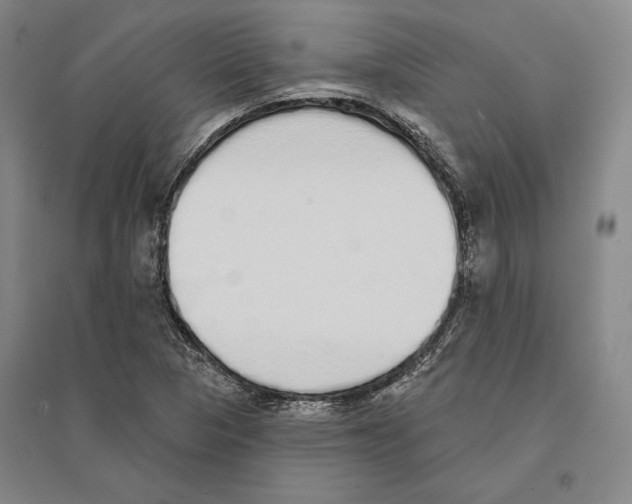 X0000095511313200801111404