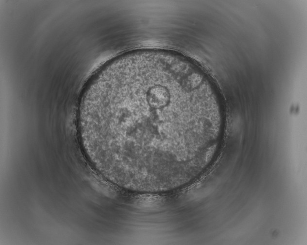 X0000095511314200801111404