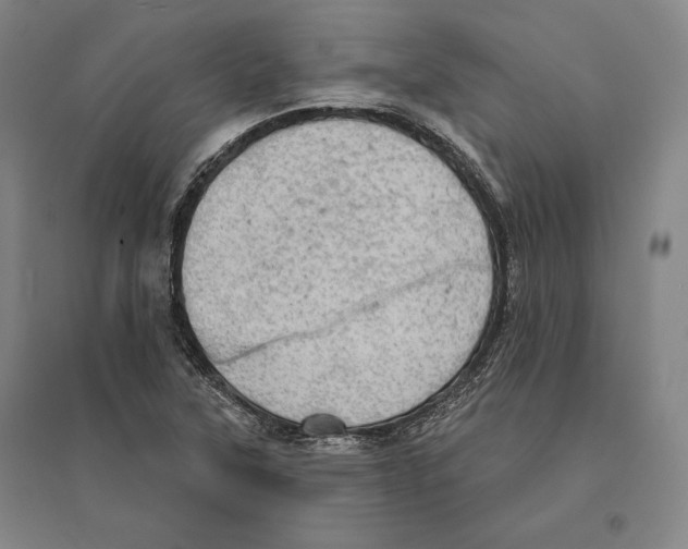 X0000095511315200801111404