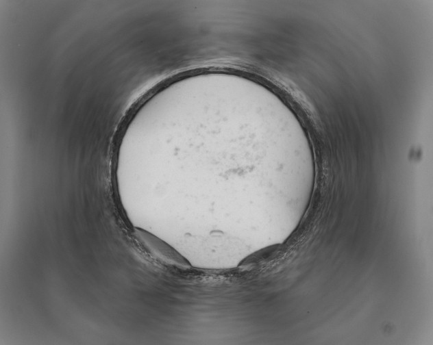 X0000095511316200801111404