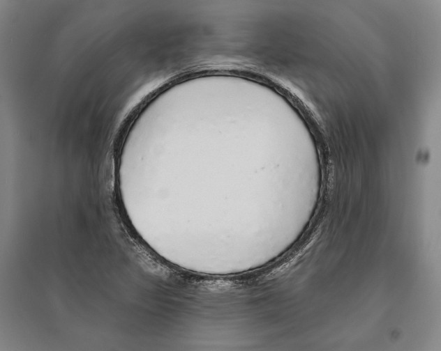 X0000095511317200801111404