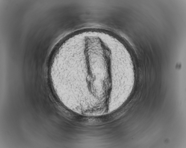 X0000095511318200801111404