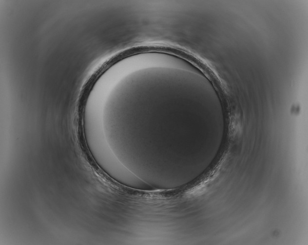 X0000095511319200801111404