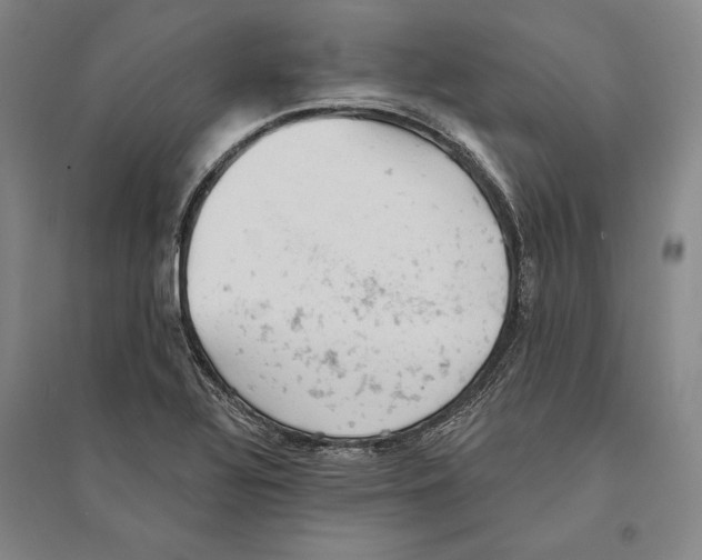 X0000095511320200801111404