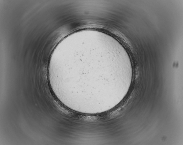 X0000095511321200801111404