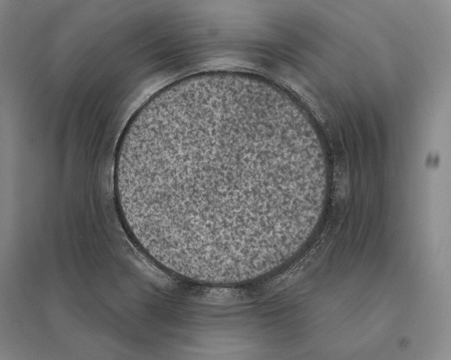X0000095511322200801111404