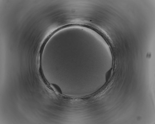 X0000095511323200801111404
