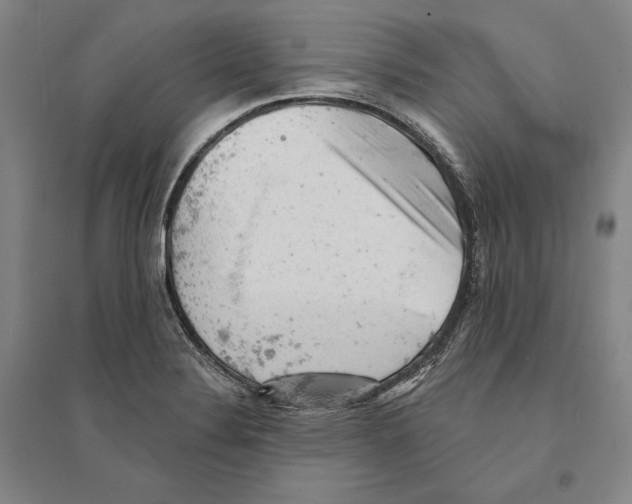 X0000095511324200801111404