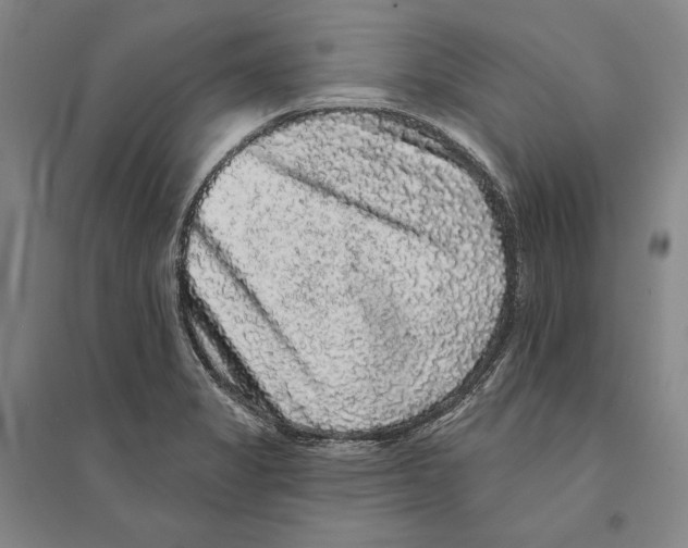 X0000095511325200801111404