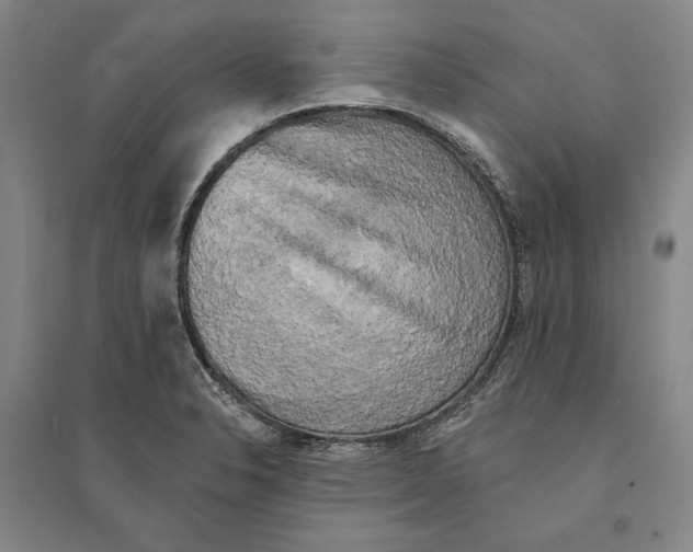 X0000095511326200801111404