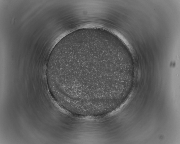 X0000095511329200801111404