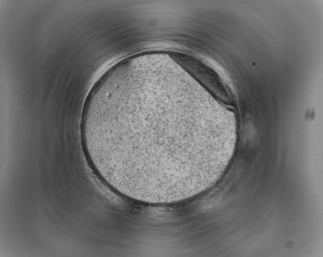 X0000095511330200801111404
